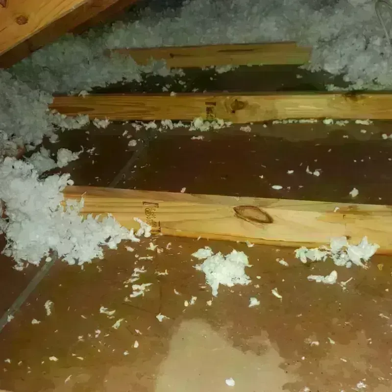 Attic Water Damage in Lents, OR