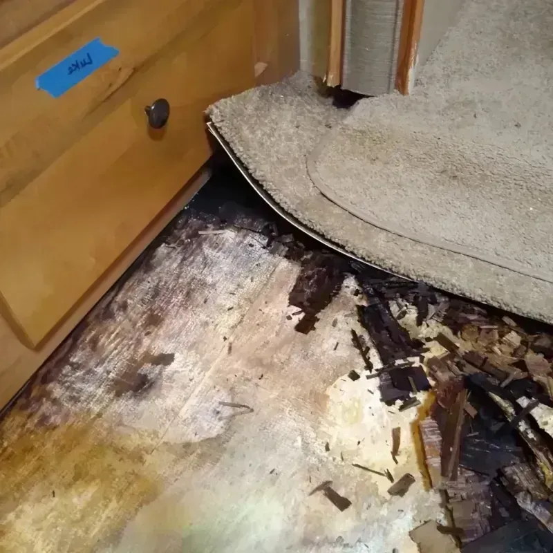 Wood Floor Water Damage in Lents, OR